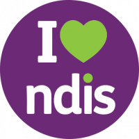 ndis icon